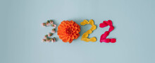 2022 Number Made From Fresh Plants, Flowers And Leaves. Happy New Year Concept On Blue Background. 2022 Creative Background, Card Design