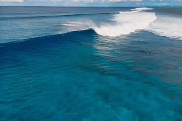 Wall Mural - Blue barrel waves in tropical sea. Aerial view of surfing waves