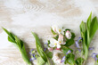 spring or summer background with blossoming apple tree branch, lily of the valley buds and violets