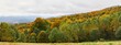 Jesień w Bieszczadach. Drzewa w kolorach złotym, czerwonym, zielonym, żółtym. Panorama.	