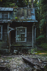 Poster - Old wooden house in the forest