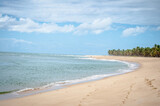 Fototapeta Morze - Alagoas State Beach