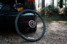 Bike Wheel Against A Car In The Forest