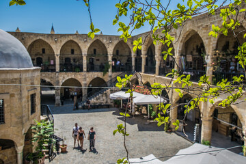 Wall Mural - Green vine leaves at a marketplace in Nicosia Cyprus