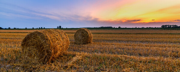 Wall Mural - Beautiful summer sunrise over fields with hay bales