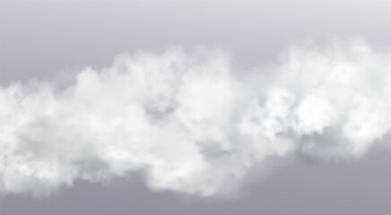 Wall Mural - vector abstract realistic fog cloud design element