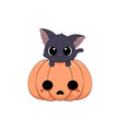 Słodki czarny kot wspinający się na dynię. Ilustracja wektorowa na Halloween. Cukierek albo psikus! Uroczy ręcznie rysowany mały kotek.