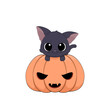 Słodki zadziorny czarny kot wspinający się na dynię. Ilustracja wektorowa na Halloween. Cukierek albo psikus! Uroczy ręcznie rysowany mały kotek.