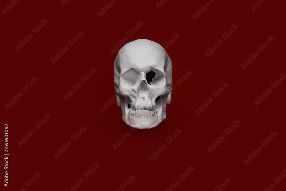 Human skull on color background