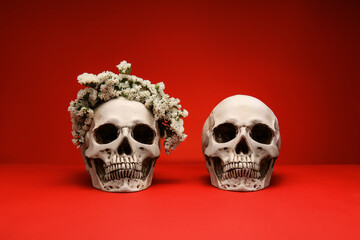 Wall Mural - Human skulls on color background