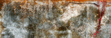 Fototapeta Kwiaty - Zjawiskowa, barwna naturalna tekstura postarzanej ściany z rośliną, z pomarańczowym i szarym jesiennym tłem.