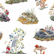 Beautiful Vector Seamless Forest Pattern With Cute Watercolor Hand Drawn Wild Animals Snake Mouse Frog And Berries Mushrooms. Stock Illustration.