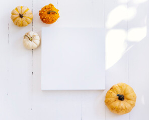 Wall Mural - Empty picture frame with autumn pumpkin decor in white interior. Thanksgiving minimal flat lay composition. Cozy clean home holiday design background.