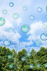 tree canopy against a sky background with oxygen o2 and carbon dioxide co2 molecules - carbon dioxid