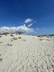 Wall Mural - White sandy tropical beach with blue sky