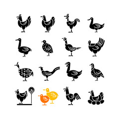 Sticker - Farm birds for poultry black glyph icons set on white space. Domestic birds. Ducks and geese husbandry. Commercial fowl farming for meat and eggs. Silhouette symbols. Vector isolated illustration