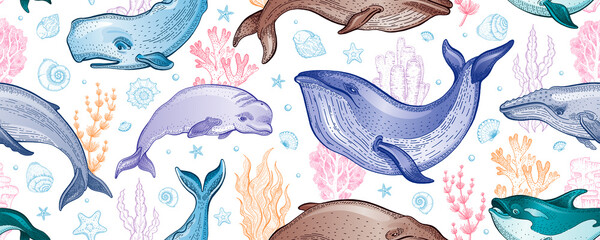 Wall Mural - Whale pattern. Seamless vector sea whale illustration. Ocean animal background. Cute wallpaper. Marine watercolor print with underwater mammal fish algae. Water summer design texture. Sea seamless art