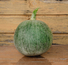 Small Green Pumpkin With A Tail