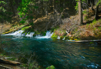 Poster - Beautiful shot of Metolius River, near Sisters, in central Oregon.