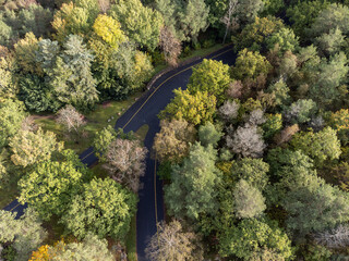 Wall Mural - Aerial view of deciduous forest in autumn colors and an asphalt road. Drone photography taken in Sweden in October.