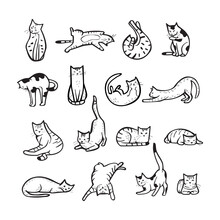  Hand Drawn Cats In Different Poses, Set Of Vector Illustration