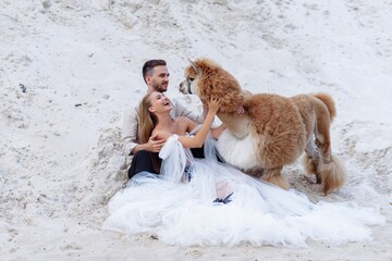 Wall Mural - Beautiful wedding couple bride and groom at wedding day outdoors at ocean beach. Happy marriage couple o