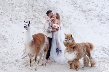 Wall Mural - Beautiful wedding couple bride and groom at wedding day outdoors at ocean beach. Happy marriage couple o