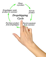 Poster - Five components of Dropshipping Process