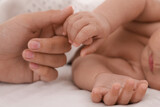 Fototapeta Koty - Mother with her cute baby on bed, closeup of hands