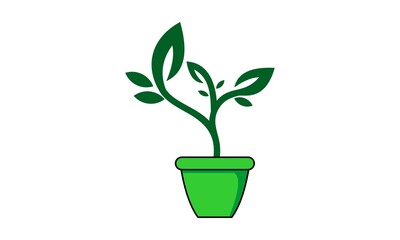 Wall Mural - plant at pot vector illustration