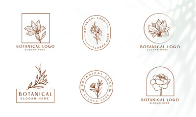 Botanical Floral element Hand Drawn Logo with Wild Flower and Leaves. Logo for spa and beauty salon, boutique, organic shop, wedding, floral designer, interior, photography, cosmetic.