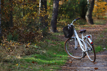 Sticker - Shot of a bike with a basket standing on a forest path covered in fall leaves