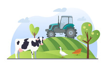 Agriculture Or Farming Concept. Tractor Driving Down Hill. Cow, Chicken And Goose Grazing In Field. Rural Area. Gardening And Harvesting. Cartoon Flat Vector Illustration Isolated On White Background