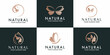 © starterz - set of beauty luxury logo design and wellness logo