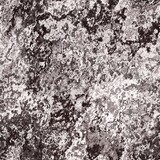 Fototapeta Desenie - Seamless lichen moss stone texture background