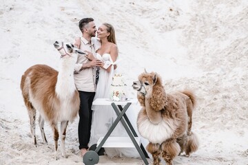 Wall Mural - Beautiful wedding couple bride and groom at wedding day outdoors at ocean beach. Happy marriage couple o