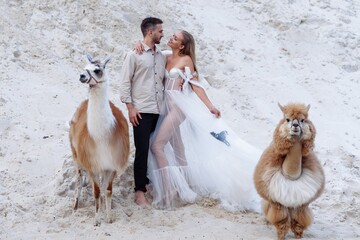 Wall Mural - Beautiful wedding couple bride and groom at wedding day outdoors at ocean beach. Happy marriage couple o