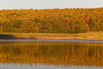 Sticker - Jezero Lapovac at dusk with autumn colors near Nasice, Croatia