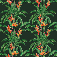 watercolor painting bird of paradise blooming flowers,colorful seamless pattern dark background.Watercolor hand drawn green leaves illustration tree tropical exotic leaf for wallpaper textile summer.