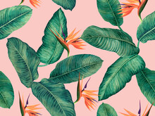 Watercolor Painting Bird Of Paradise With Green Leaves Seamless Pattern Background.Watercolor Hand Drawn Illustration Tropical Exotic Leaf Prints For Wallpaper,textile Hawaii Aloha Jungle Pattern.