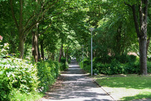 Perspective View Of Walkway With Lamp Posts In Park With Plants And Trees Foliage In Sunny Summer. No People.