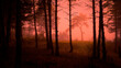 © arktur_us - Enchanted foggy wood in red light