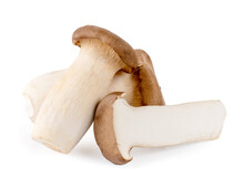King Oyster Mushroom Pleurotus Eryngii Isolated On White Background