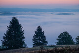 Fototapeta Na ścianę - Valley fog in dawn landscape