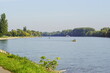 Der Fluss Rhein im Rheingau in Hessen mit Bäumen
