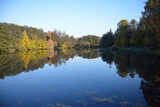 Fototapeta Łazienka - Autumn pond, Trees are reflected in the water