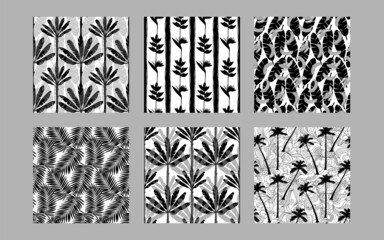 Wall Mural - Tropical exotic plants seamless patterns set