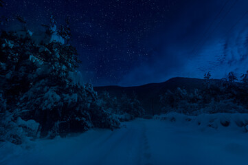 Wall Mural - mountain road through the snowy forest on a full moon night. scenic night winter landscape of dark b
