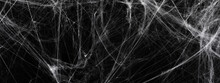Halloween Decoration Concept. Artificial Spider Web Decoration On Black Background