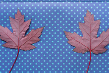 Two Maple Leaves On Blue Scrapbooking Paper Background